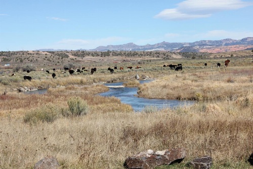 Sevier River Retreat image 13